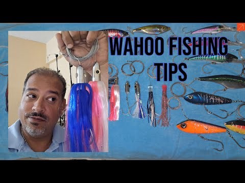 Wahoo Fishing Tips