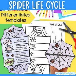 Life cycle of a spider sequencing cut and paste folding science craft activity
