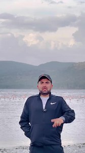 Pink Flamingo Sightings in Pakistan - Zunair Kamboh Wildlife Clips