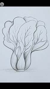 30K views · 589 reactions | Easy Vegetable drawing #drawing #pencilsketch #drawingtutorial | Drawing Book | Facebook
