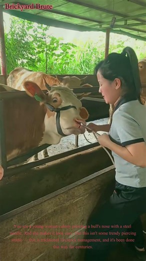 Girl Piercing a Bull Nose Ring 🐂