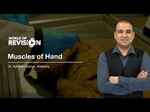 Marrow World of Revision | Muscles of the Hand | Anatomy Sample Video