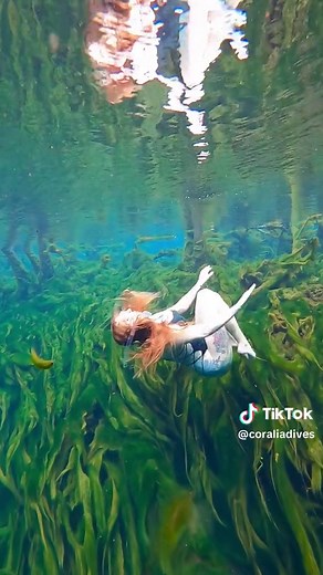 💚 #freediver #freediving #underwater | Free Diving