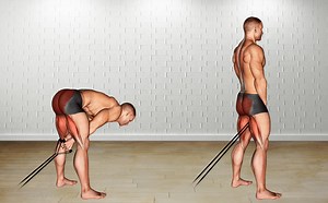 Band Pull Through: Strengthen Glutes, Hamstrings & More! – Fitness Volt