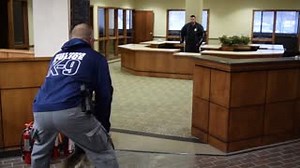 2.8K views · 130 reactions | Thank you to Bell Bank for letting us use your empty facility for our K9 Unit to train in! This is invaluable experience for our K9's and handlers. Special S/O to Ole & Lena's Pizzeria - West Fargo for the bite suit. | West Fargo Police Department | Facebook