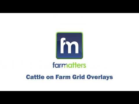Farm Matterd Cattle on Farm Grid Overlays