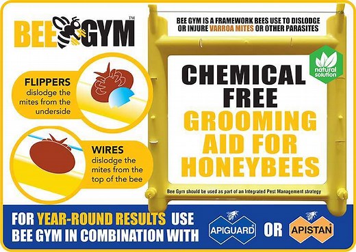 Bee Gym Review - Does it help bees to self-groom & remove varroa?