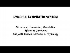 Lymph & Lymphatic System Explained Spleen Structure & Functions Lymphatic Disorders