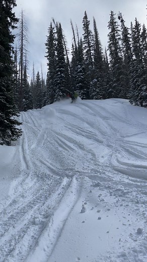 66K views · 1.7K reactions | Ready for tips up days, are you??? | Mod Tongue Racing | Facebook