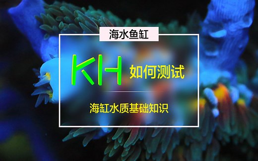 海水鱼缸KH如何测试？快来看吧！3分钟海缸水质基础知识