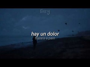 The Irrepressibles- In This Shirt [lyrics subtitulados/letra en español]