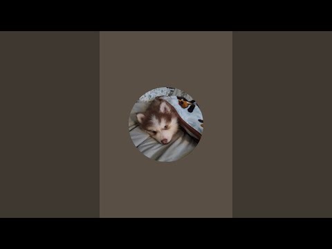 Rocky gets all Zen like Alan Watts Buddhist Style in the background, Say hi and chat. GOOD VIBES