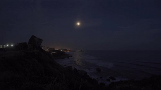 Serene Coastal Nighttime Scene with Moonlight Reflection