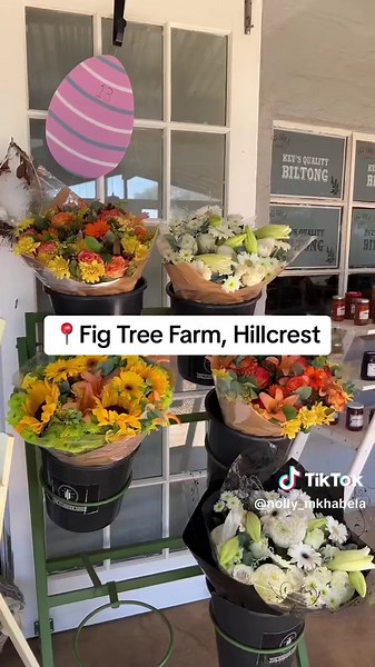 Fig Tree Farm: A Hidden Gem in Hillcrest with Activities for Everyone