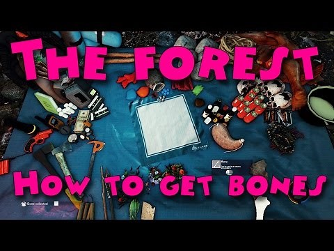 The Forest - How to get bones