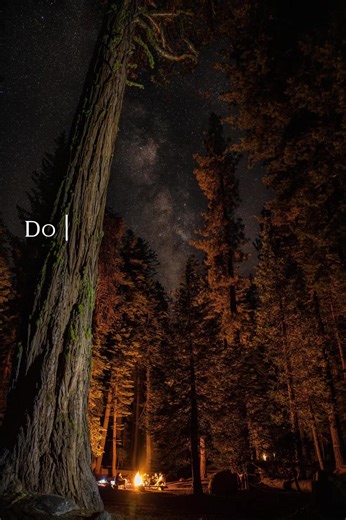 DR: Cabin Fever on TikTok