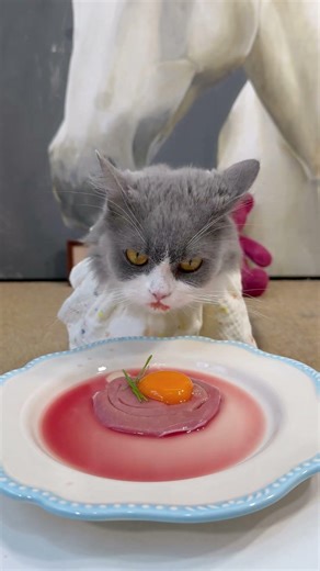 Kitten is the antidote to life. Who has such a cute little kitten?