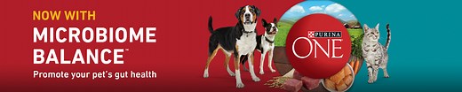 Purina ONE: Microbiome Balance