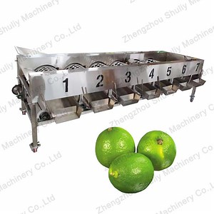 [Hot Item] Tomato Sorting Machine Orange Lemon Sorting Machine Roller Classifier From Sophia