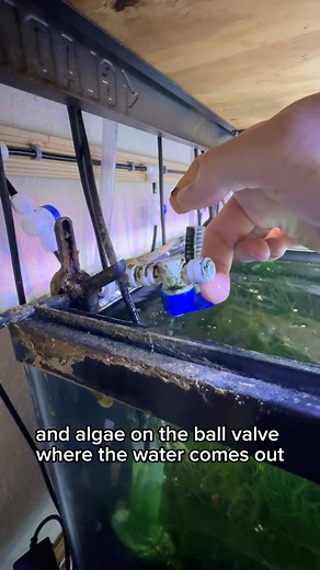 4.3K views · 63 reactions | Here is an update and overview on my new...