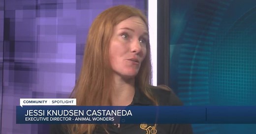 Community Spotlight: Animal Wonders
