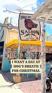 331K views · 7K reactions | It's not TOO much to ask... right? Just a plane ticket, place to stay, and a couple extra bucks for a drink...  ☀️ 혾홝홧홞홨황홢홖홨 혿홖홮 홡홞홣홚홪홥:  Barrett Thomas – noon to 4pm  Flash Flood Duo – 4:30 to 8:30pm  Mark King Jams – 9 ‘til close Now THAT’s how you do Christmas in Key West! | Hog's Breath Saloon | Facebook