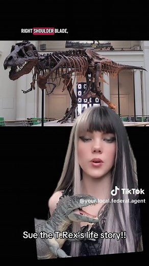Sue the T. Rex!! The full story of the tyrannosaur! #trex #dinosaur #suethetrex #paleontology #stem