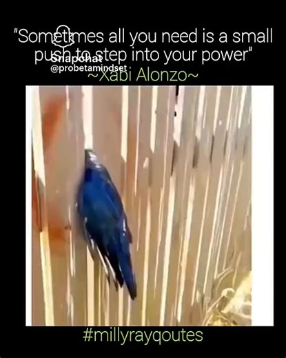 DOC OCK(MIKE) (@doc.ock74)’s videos with original sound - DOC OCK(MIKE)