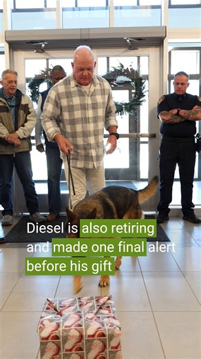 After 31 years of service to the City of Monroe, Officer Perry Caskey’s final send-off included a fitting tribute to his longtime partner, K-9 Diesel. At his retirement celebration, Diesel answered one last alert and was then rewarded the best way possible, with a flood of tennis balls from fellow officers. The City of Monroe is proud of Officer Caskey’s decades of service and grateful for the dedication he brought to our community. We wish him and Diesel all the best in retirement and whatever 