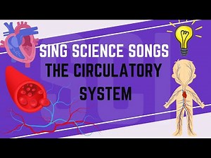 The Circulatory System - Sing Science Songs for Kids