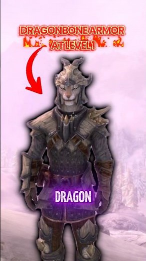 Skyrim: Dragonscale Armor at LVL 1 in Skyrim anniversary