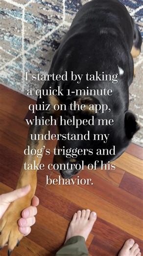 Start training your dog with the Best Dog Training App in the World! 🐶🐕 | Dog Training & Tips