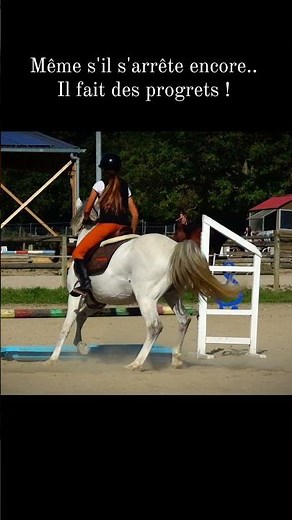 Progrets ❤️ #horse #poney #cheval #cso
