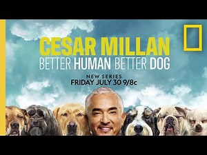 Cesar Millan Is Back With A New NatGeo Show: ’Better Human Better Dog’