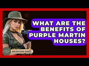 What Are The Benefits Of Purple Martin Houses? - Bird Watching Diaries
