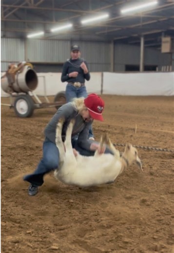 Top Tips for Goat Tying in College Rodeo