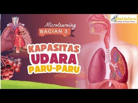 BAHAN AJAR SISTEMPERNAPASAN Bag 3 KAPASITAS UDARA PARU PARU
