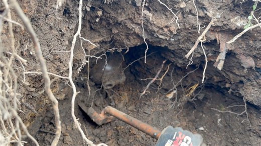 39K views · 936 reactions | Strange Layer Exposed full of Rare and Valuable Antique Treasures! This week we head back to our 1890-1910 dig site with WildKyle to uncover more lost and forgotten history! We make a couple of massive discoveries while antique bottle digging that will blow your mind! #history #treasure #antique | Adventure Archaeology And Southern Diggers | Facebook