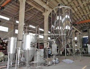 Automatic Banana Flour Spray Drying Machine | Plantain Banana Processing Machine Manufacturer and Supplier