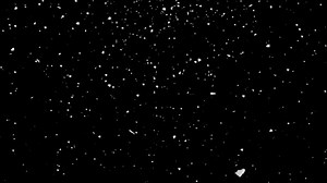 List Bianca Videos: Download 16+ Free 4K & HD Stock Footage Clips - Pixabay