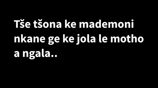 AWESOMEKAT 2.0 on TikTok