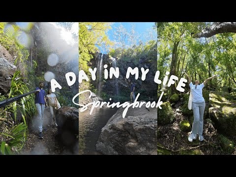 A Day in Springbrook National Park: Best of All Lookout, Canyon Lookout & Twin Falls Hike