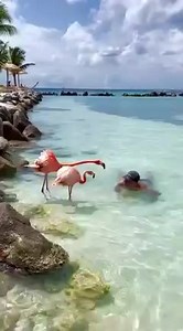 Wonderful 🥰 | Animal World