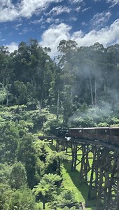 Enchanting views from Puffing Billy Railway in the Visit Yarra Valley and Dandenong Ranges 🚂 | Visit Melbourne