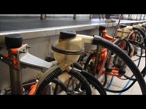 Le travail se fait dans la sérénité en élevage laitier