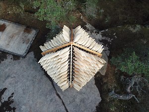 Shiver House — NEON