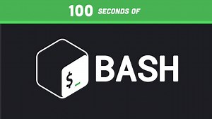 Bash in 100 Seconds!