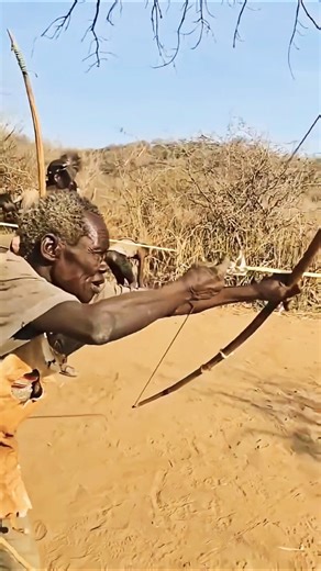 A Quite Trail in the bush Then everything changed Traibal Awareness Uma trilha tranquila no meio da