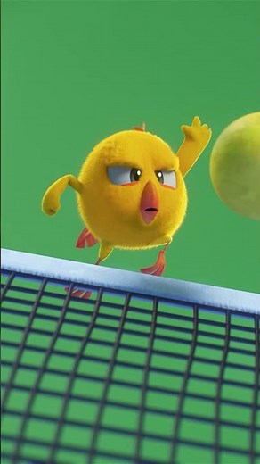 Where's Chicky? | Ping Pong with Himself 🏓Chicky Cartoon in English for Kids
