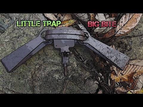 Sleep Creek #11 - The Little Trap with a Big Bite!